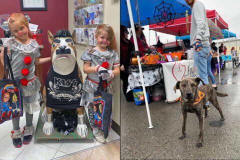 Multi-Rescue Trunk or Treat for Pets & Their People. (HSCMC)